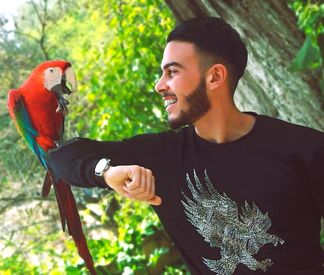 macaw bird with man